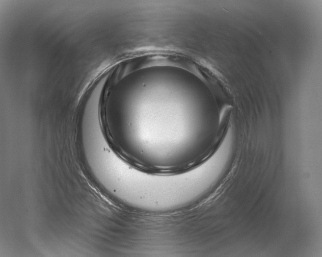X0000052931357200507151606