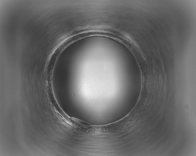 X0000052931360200507151606