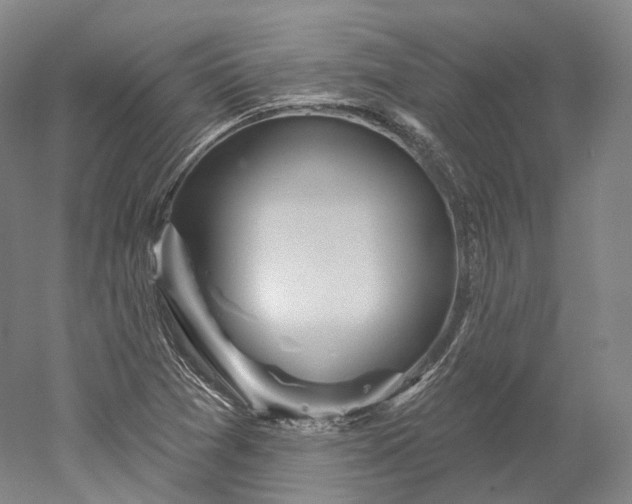 X0000052931361200507151606