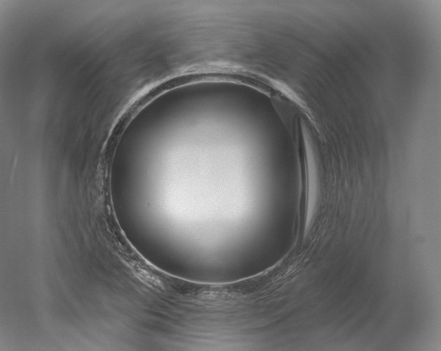 X0000052931364200507151606
