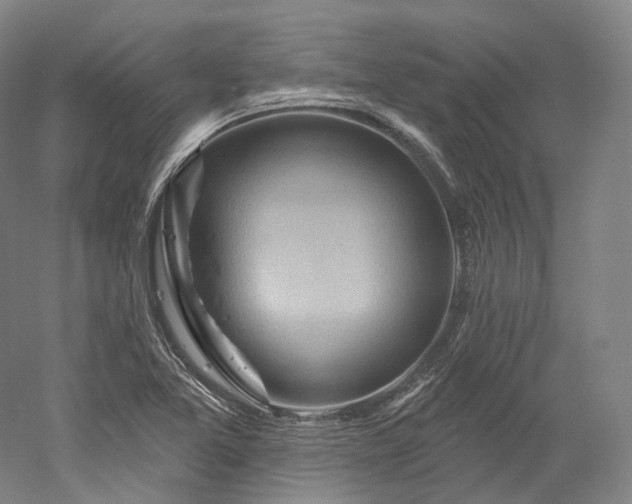 X0000052931365200507151606