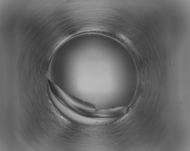 X0000052931369200507151605