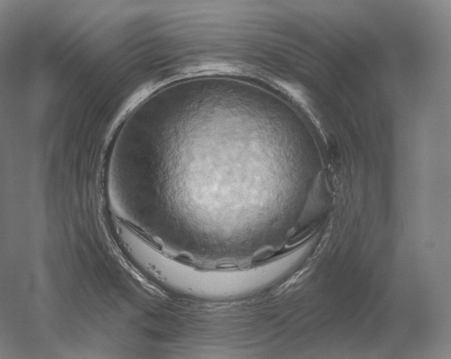 X0000052931373200507151605