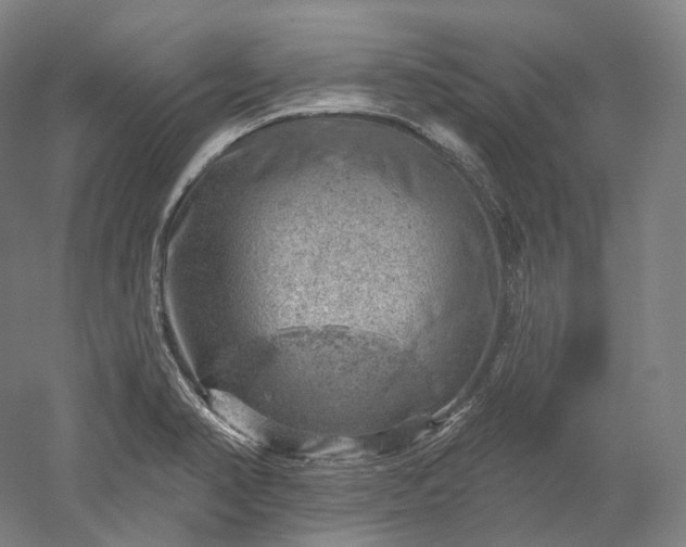X0000052931374200507151605
