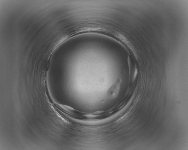 X0000052931377200507151605
