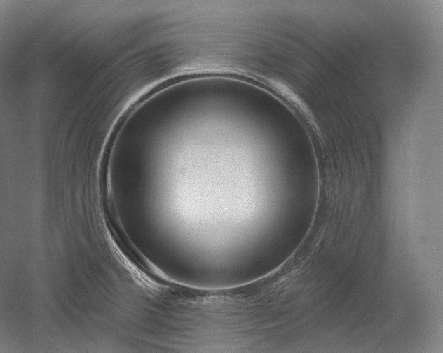X0000052931380200507151605