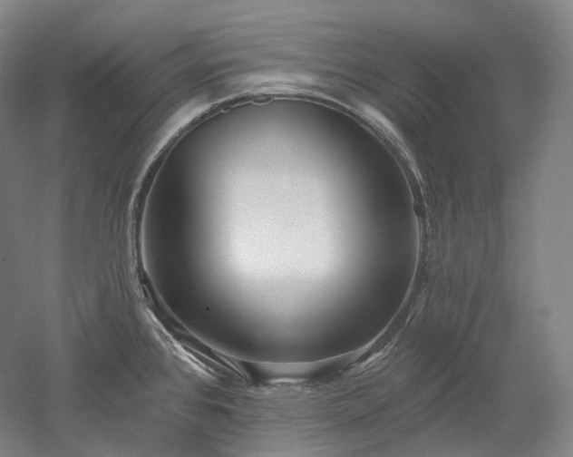 X0000052931384200507151605