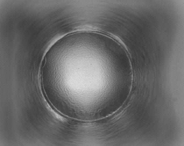 X0000052931387200507151605