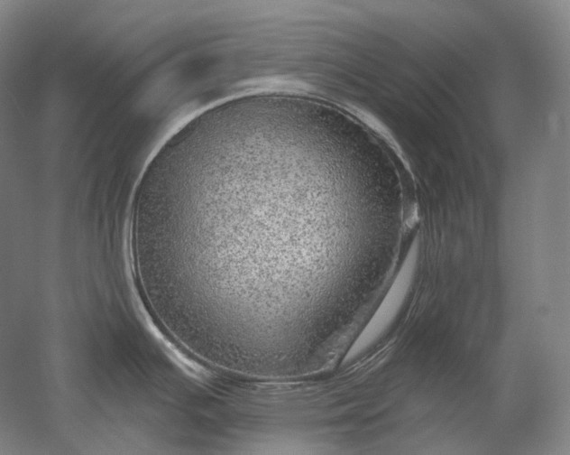 X0000052931391200507151605