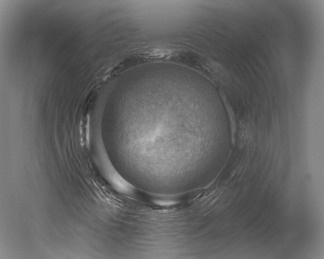 X0000052931394200507151604