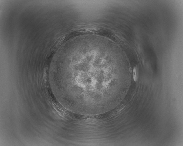 X0000052931395200507151604