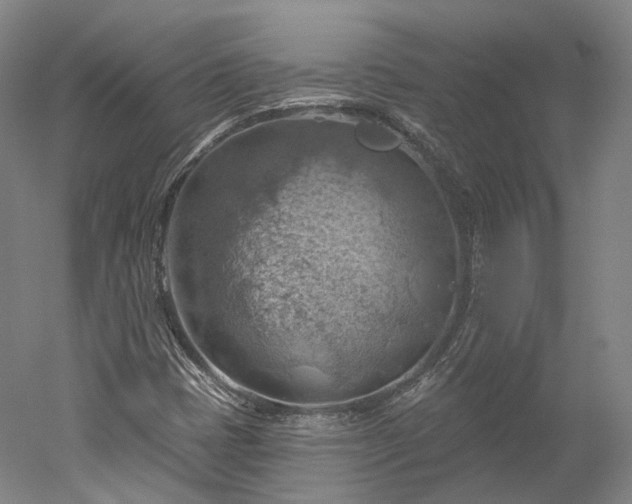 X0000052931401200507151604