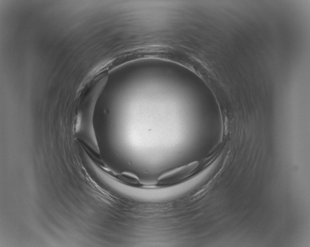 X0000052931402200507151604