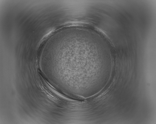 X0000052931403200507151604