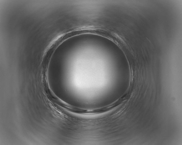 X0000052931406200507151604
