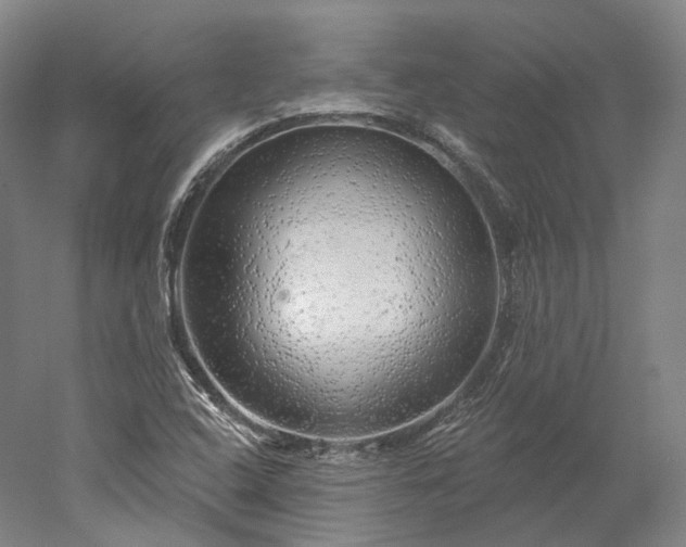 X0000052931408200507151604