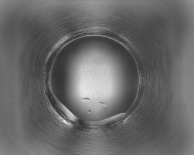 X0000052931410200507151605