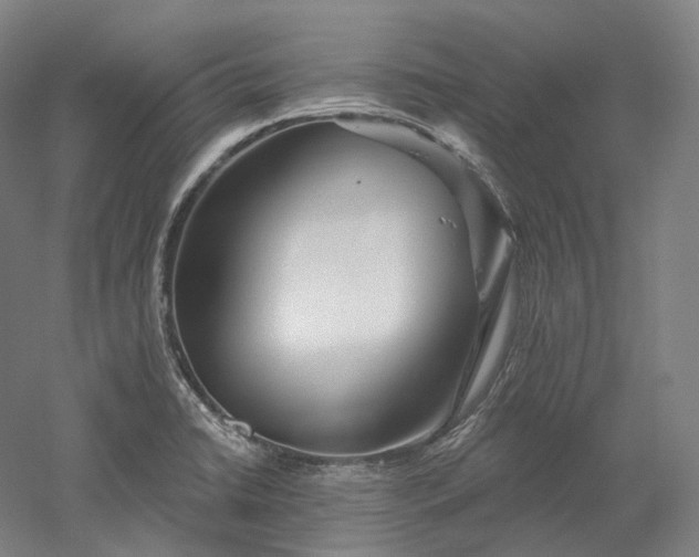 X0000052931422200507151605