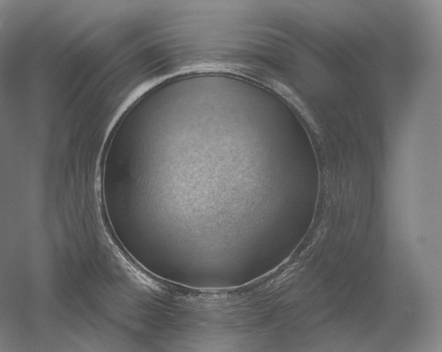 X0000052931428200507151605