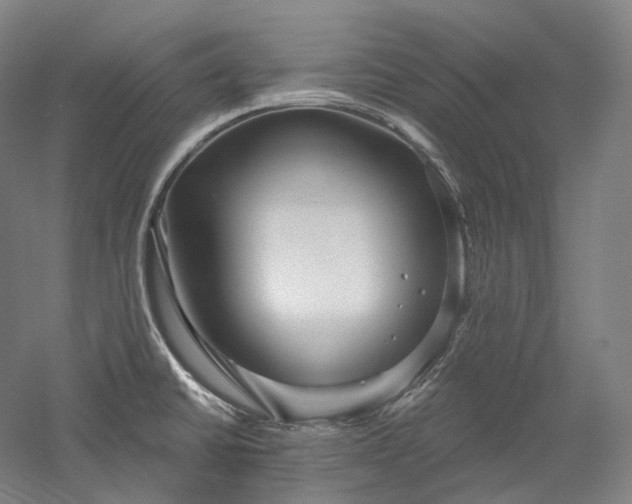 X0000052931430200507151605