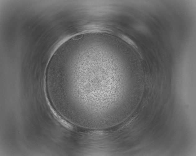 X0000052931431200507151605