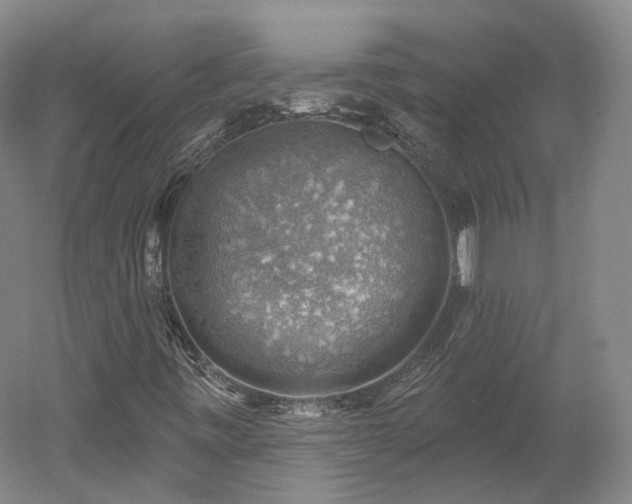 X0000052931443200507151604