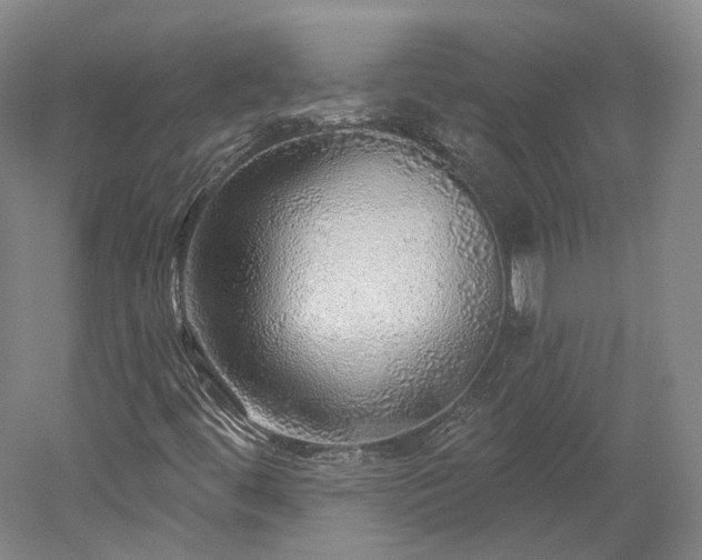X0000052931444200507151604