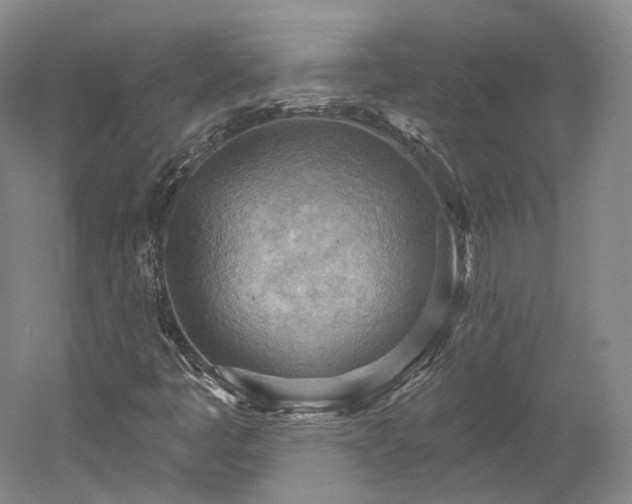 X0000052931445200507151604