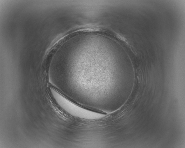 X0000052931448200507151604