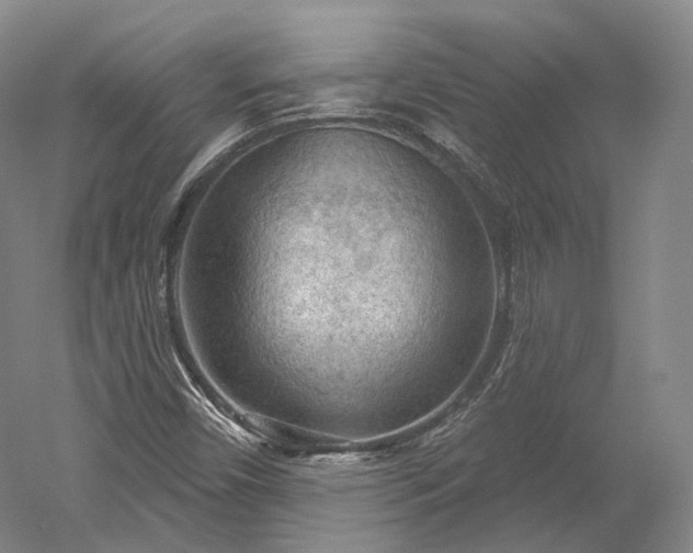 X0000052931450200507151604