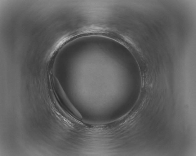 X0000052931455200507151604