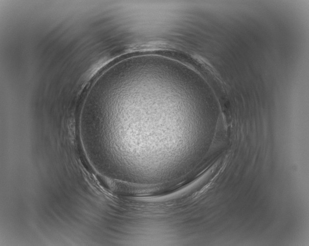 X0000052931457200507151604