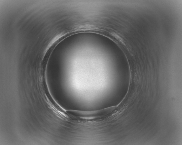 X0000052931458200507151604