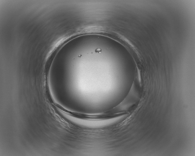 X0000052931461200507151604