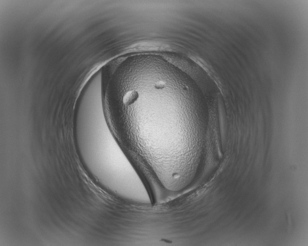 X0000052931465200507151604