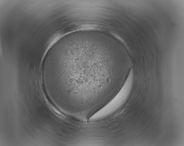 X0000052931467200507151604
