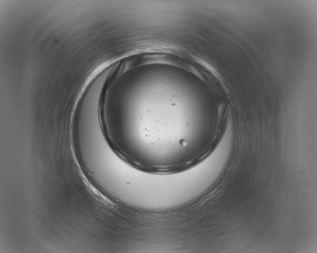 X0000052931471200507151604