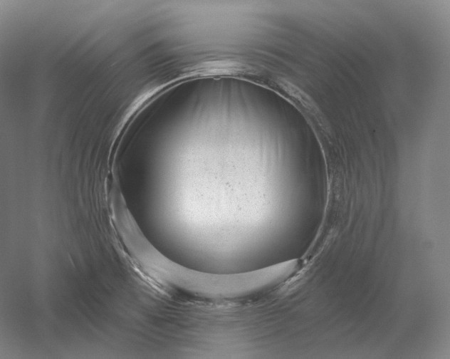 X0000052931473200507151604