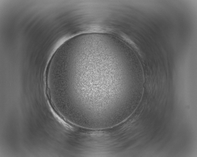 X0000052931479200507151604