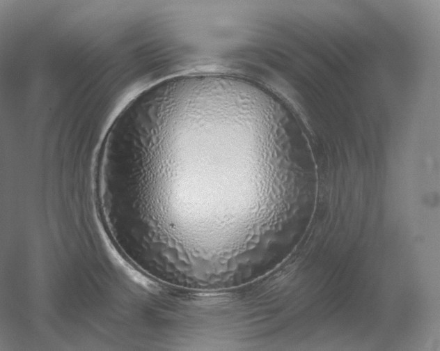 X0000052931483200507151604