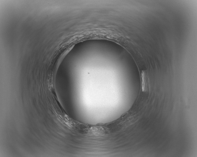 X0000052931491200507151603