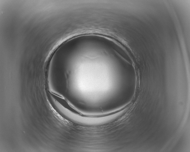 X0000052931500200507151603