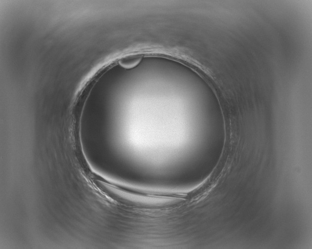 X0000052931502200507151603