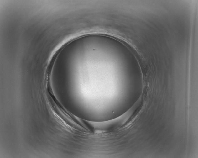 X0000052931510200507151603