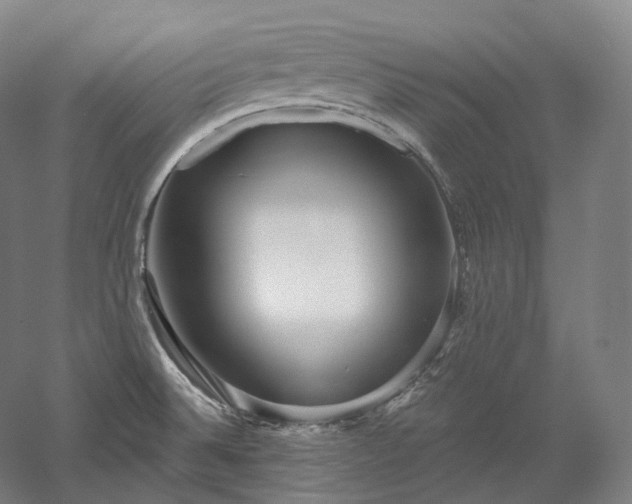 X0000052931524200507151603