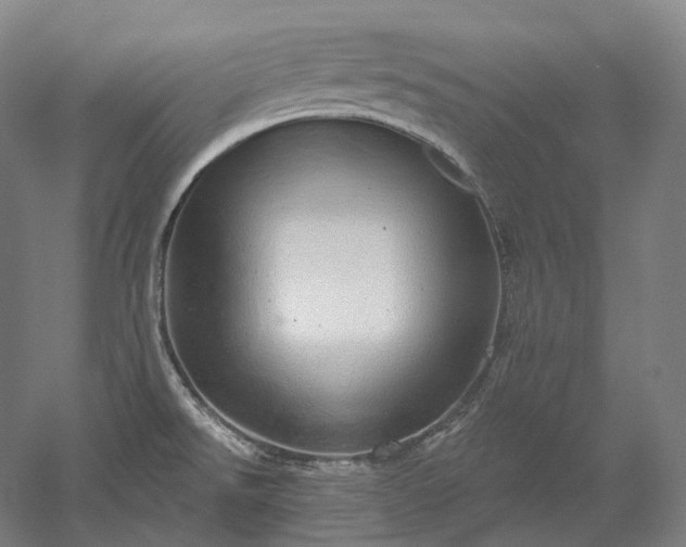 X0000052931526200507151603