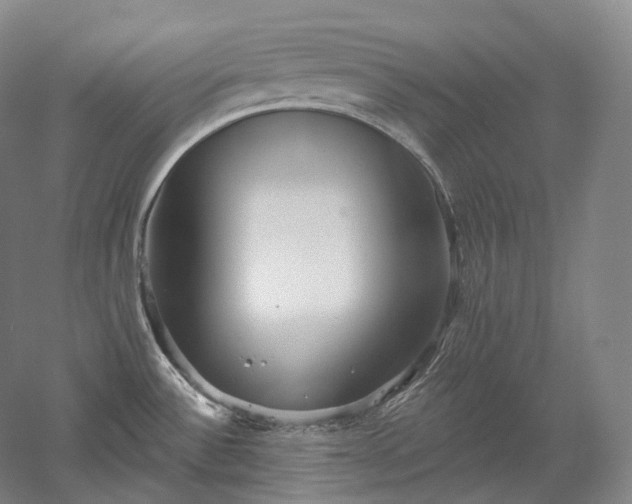 X0000052931532200507151603