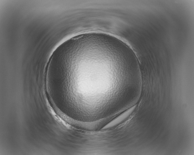 X0000052931534200507151603