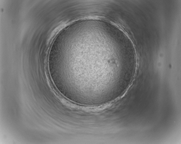 X0000052930001200507221133