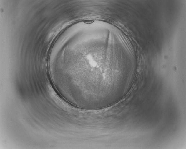 X0000052930002200507221133